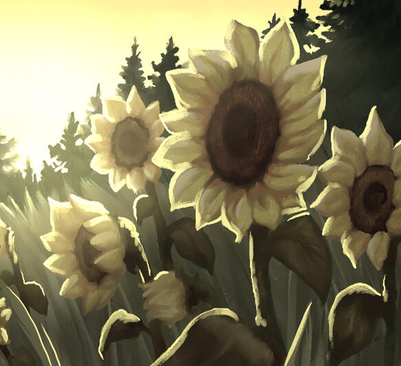 Sunset Sunflowers